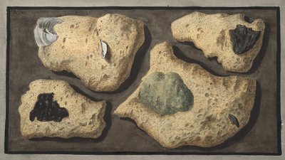 Specimens of Tufas from the quarrys near the Grotta of Pausilipo, Plate XXXXII, from 
